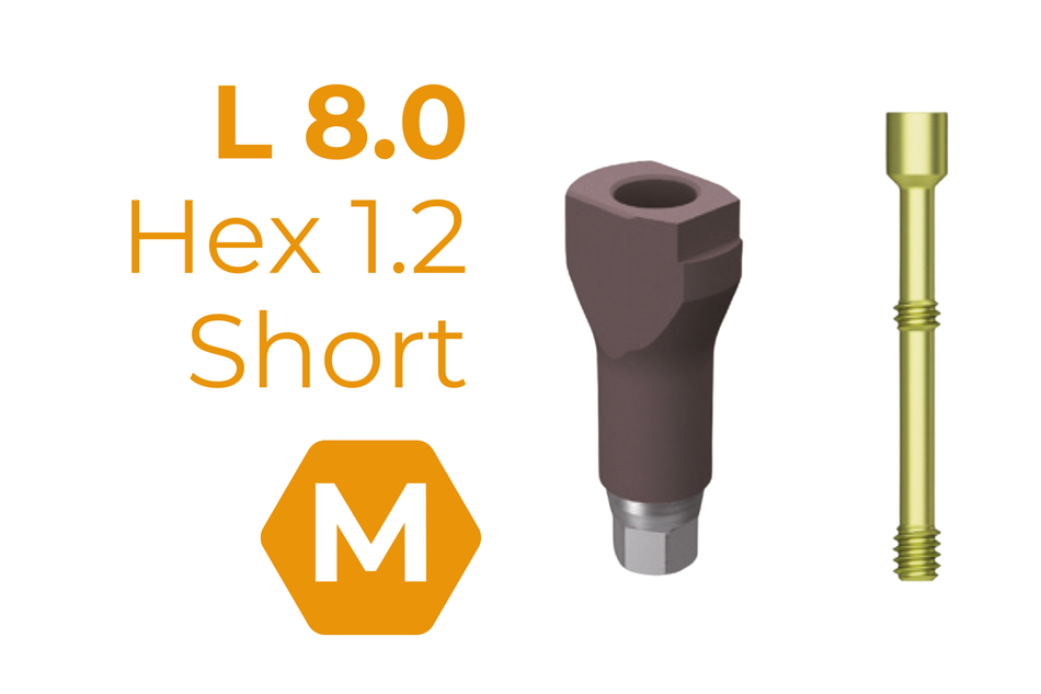 TS Scan Body 8 mm Mini