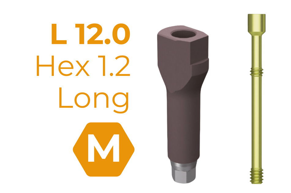 TS Scan Body 12 mm Mini