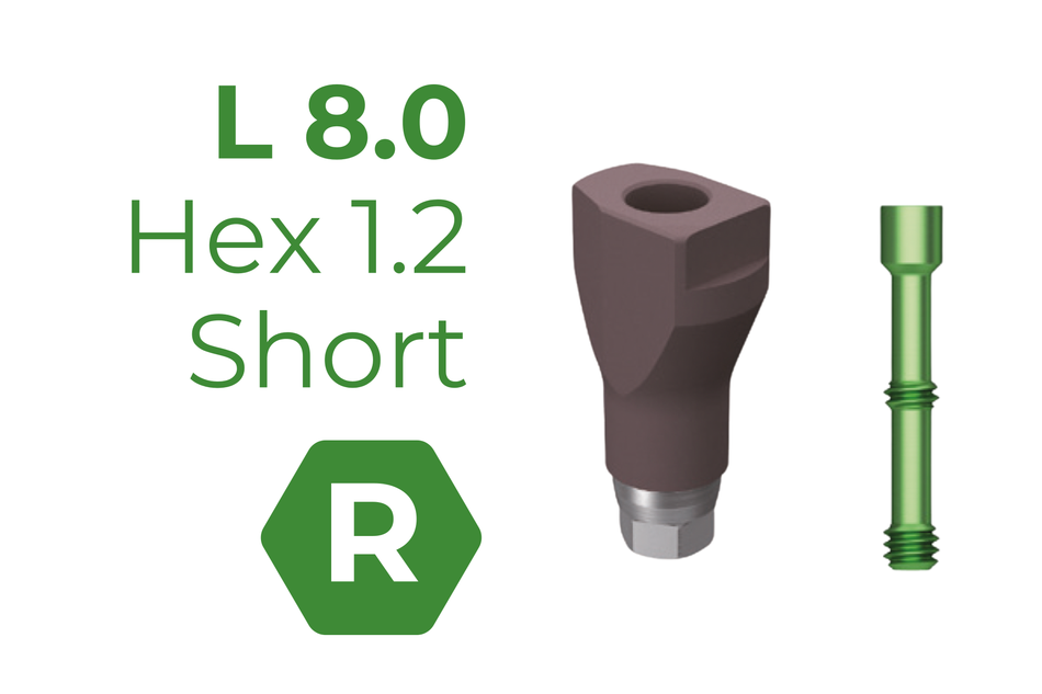 TS Scan Body 8 mm Regular