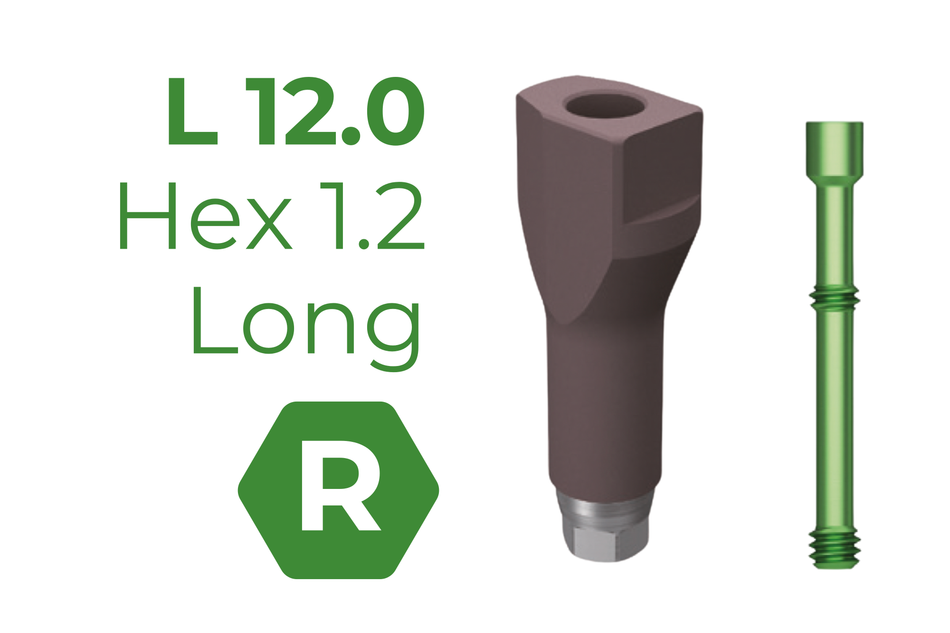 TS Scan Body 12 mm Regular