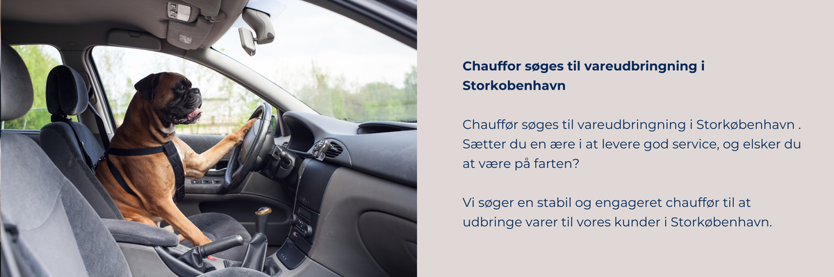 Chauffør