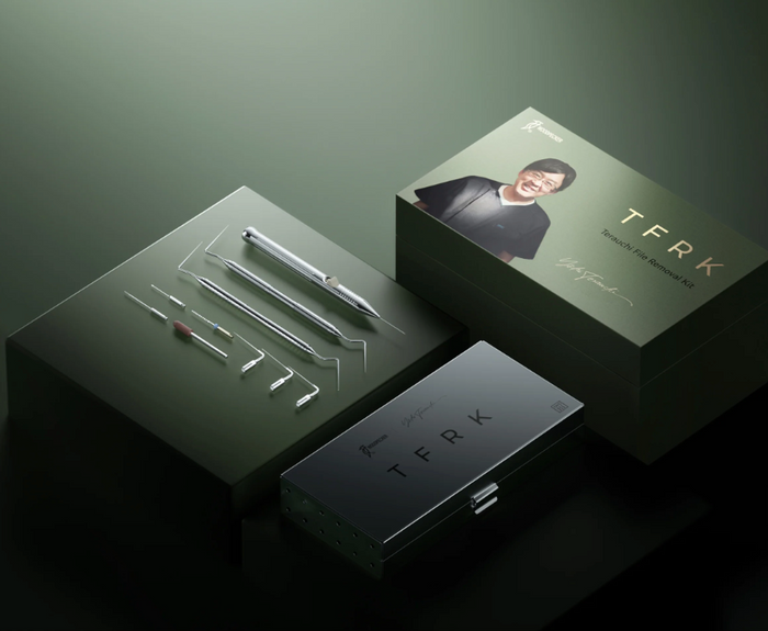 File Remover Kit Terauchi - Woodpecker / EMS