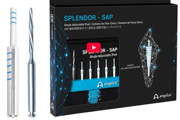 Splendor - SAP kroneopbygning Posts - TILBUD