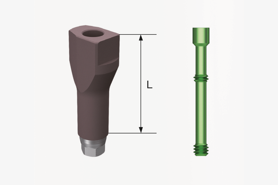 TS Scan Body 8 mm Mini