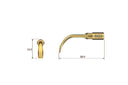 Bone scraber SG3