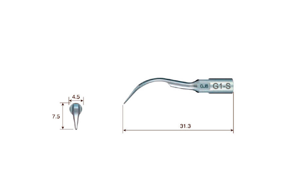 Scaling Universal G1-S